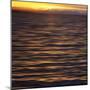 Southeast Alaska, Ketchikan Sunset-Savanah Stewart-Mounted Photographic Print