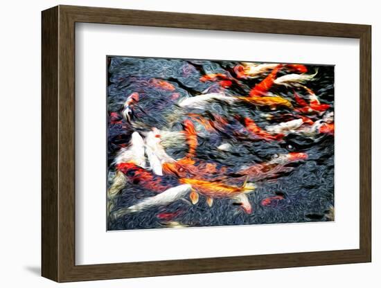 Southeast Asia, China, Macau, Japanese Koi Fish in Motion-Terry Eggers-Framed Photographic Print