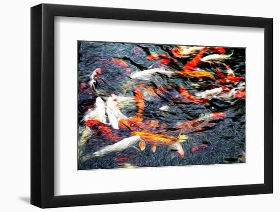 Southeast Asia, China, Macau, Japanese Koi Fish in Motion-Terry Eggers-Framed Photographic Print