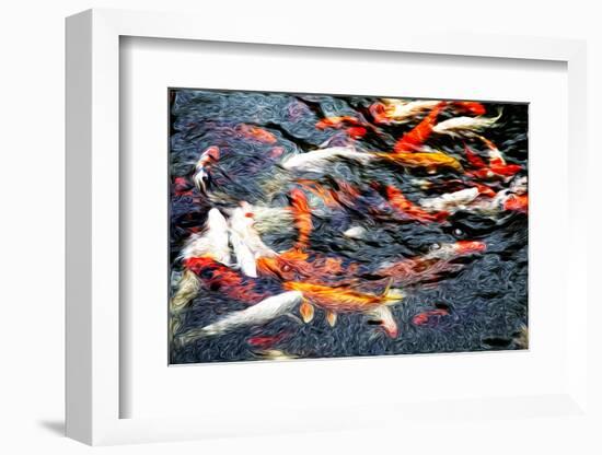 Southeast Asia, China, Macau, Japanese Koi Fish in Motion-Terry Eggers-Framed Photographic Print