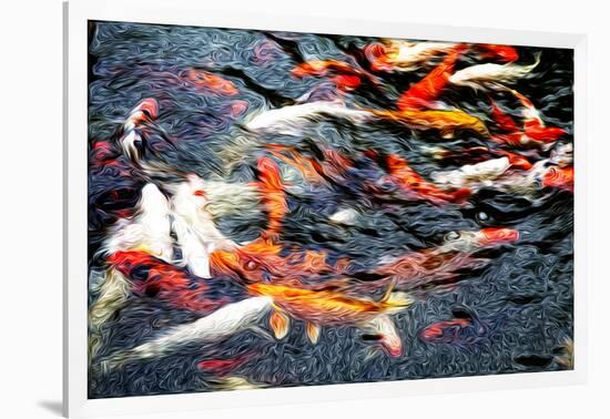 Southeast Asia, China, Macau, Japanese Koi Fish in Motion-Terry Eggers-Framed Photographic Print