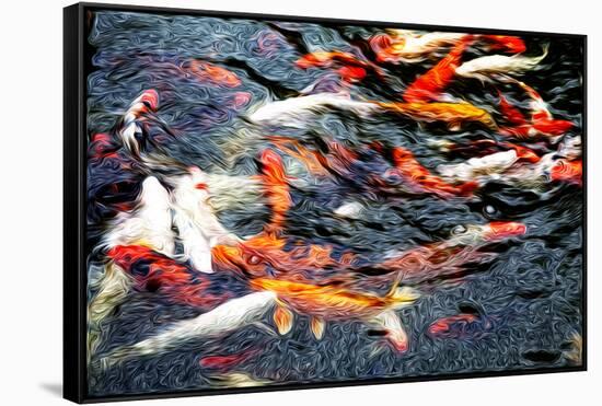 Southeast Asia, China, Macau, Japanese Koi Fish in Motion-Terry Eggers-Framed Stretched Canvas