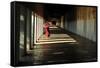 Southeast Asian Young Little Buddhist Monks Walking Morning Alms in Bagan, Myanmar-Mudvayne-Framed Stretched Canvas