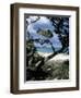 Southeast Coast, Island of Sardinia, Italy, Mediterranean-Oliviero Olivieri-Framed Photographic Print