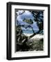 Southeast Coast, Island of Sardinia, Italy, Mediterranean-Oliviero Olivieri-Framed Photographic Print