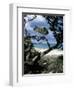 Southeast Coast, Island of Sardinia, Italy, Mediterranean-Oliviero Olivieri-Framed Photographic Print