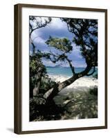 Southeast Coast, Island of Sardinia, Italy, Mediterranean-Oliviero Olivieri-Framed Photographic Print