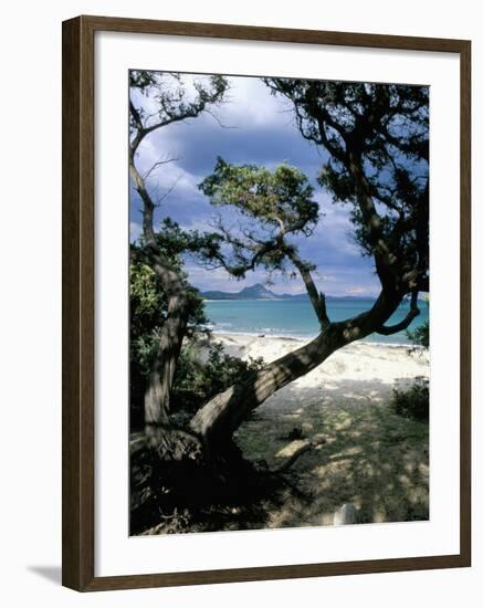 Southeast Coast, Island of Sardinia, Italy, Mediterranean-Oliviero Olivieri-Framed Photographic Print