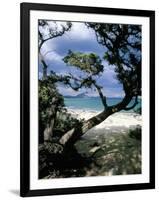 Southeast Coast, Island of Sardinia, Italy, Mediterranean-Oliviero Olivieri-Framed Photographic Print