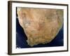 Southern Africa-Stocktrek Images-Framed Photographic Print