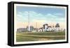 Southern Alkali Plant, Corpus Christi-null-Framed Stretched Canvas