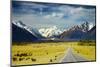 Southern Alps, New Zealand-DmitryP-Mounted Photographic Print