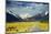 Southern Alps, New Zealand-DmitryP-Mounted Photographic Print