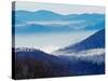 Southern Appalachian Mountains, Great Smoky Mountains National Park, North Carolina, USA-Adam Jones-Stretched Canvas