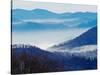 Southern Appalachian Mountains, Great Smoky Mountains National Park, North Carolina, USA-Adam Jones-Stretched Canvas