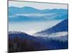 Southern Appalachian Mountains, Great Smoky Mountains National Park, North Carolina, USA-Adam Jones-Mounted Photographic Print