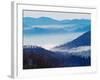 Southern Appalachian Mountains, Great Smoky Mountains National Park, North Carolina, USA-Adam Jones-Framed Photographic Print