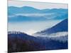 Southern Appalachian Mountains, Great Smoky Mountains National Park, North Carolina, USA-Adam Jones-Mounted Photographic Print