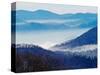 Southern Appalachian Mountains, Great Smoky Mountains National Park, North Carolina, USA-Adam Jones-Stretched Canvas