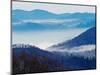 Southern Appalachian Mountains, Great Smoky Mountains National Park, North Carolina, USA-Adam Jones-Mounted Photographic Print