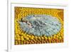 Southern Belle Lying on Oranges, Florida-null-Framed Premium Giclee Print