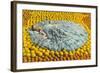 Southern Belle Lying on Oranges, Florida-null-Framed Art Print