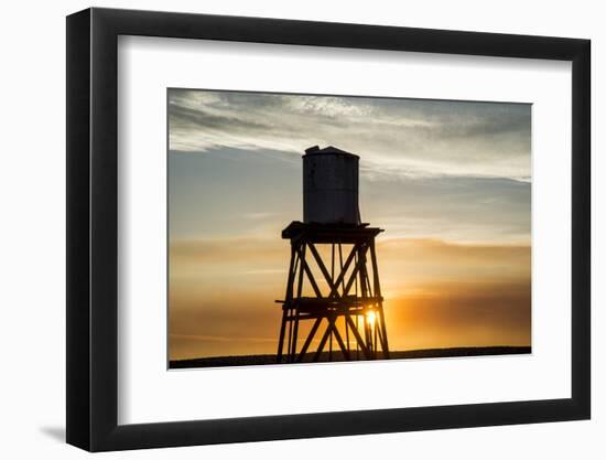 Southern California, Against Sunset-Alison Jones-Framed Photographic Print