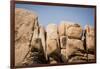 Southern California, Joshua Tree National Park-Alison Jones-Framed Photographic Print