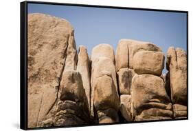 Southern California, Joshua Tree National Park-Alison Jones-Framed Stretched Canvas