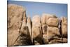 Southern California, Joshua Tree National Park-Alison Jones-Stretched Canvas