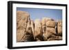 Southern California, Joshua Tree National Park-Alison Jones-Framed Photographic Print