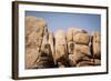 Southern California, Joshua Tree National Park-Alison Jones-Framed Photographic Print