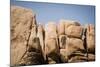 Southern California, Joshua Tree National Park-Alison Jones-Mounted Photographic Print