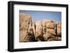 Southern California, Joshua Tree National Park-Alison Jones-Framed Photographic Print