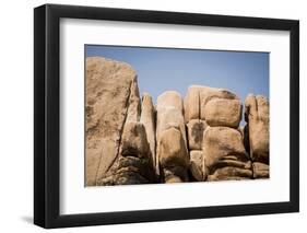 Southern California, Joshua Tree National Park-Alison Jones-Framed Premium Photographic Print