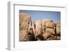 Southern California, Joshua Tree National Park-Alison Jones-Framed Premium Photographic Print