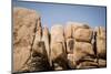 Southern California, Joshua Tree National Park-Alison Jones-Mounted Premium Photographic Print