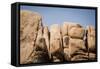 Southern California, Joshua Tree National Park-Alison Jones-Framed Stretched Canvas