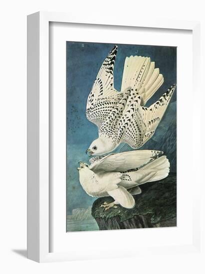 Southern Caracara-John James Audubon-Framed Premium Giclee Print