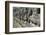 Southern Causeway of Angkor Thom-Jean-Pierre De Mann-Framed Photographic Print