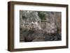 Southern Causeway of Angkor Thom-Jean-Pierre De Mann-Framed Photographic Print