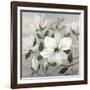 Southern Charm II-null-Framed Art Print