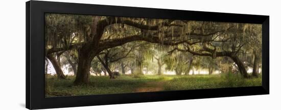 Southern Charm-Doug Cavanah-Framed Giclee Print