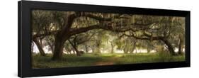 Southern Charm-Doug Cavanah-Framed Giclee Print