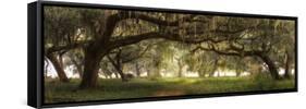 Southern Charm-Doug Cavanah-Framed Stretched Canvas