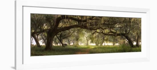 Southern Charm-Doug Cavanah-Framed Giclee Print