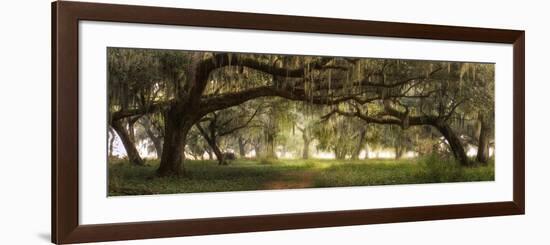 Southern Charm-Doug Cavanah-Framed Giclee Print