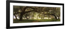 Southern Charm-Doug Cavanah-Framed Giclee Print