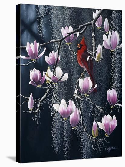 Southern Cheer - Cardinal-Wilhelm Goebel-Stretched Canvas