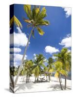 Southern Cross Club, Little Cayman, Cayman Islands, Caribbean-Greg Johnston-Stretched Canvas
